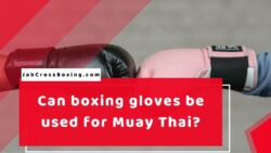 Can boxing gloves be used for Muay Thai