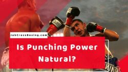 Is Punching Power Natural (boxing)