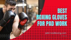 best boxing gloves for pad work